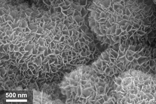A scanning electron microscope image (scale bar is 500 billionths of a meter in length) reveals myriad imperfections like those that Rice University engineers created on the interior walls of materials storage containers. The imperfections keep the surfaces of stored materials clean by attracting volatile organic compounds from air that gets sealed inside the containers. @ Preston Innovation Laboratory/Rice University