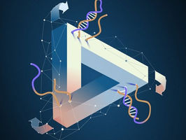 Artistic illustration of how heat recharges a DNA circuit.