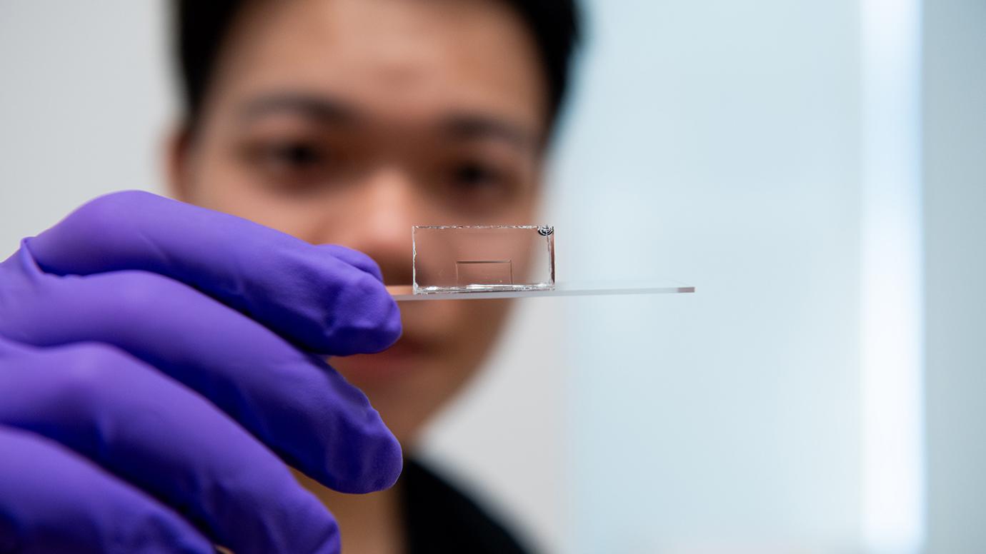 Scientists at the University of Chicago found a glass crystal just a few atoms thick can trap and carry light—and could be used for applications. The material is visible as the thin line in the center of the plastic, held by study co-author Hanyu Hong. @ Jean Lachat