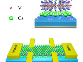 Destroying the superconductivity in a kagome metal