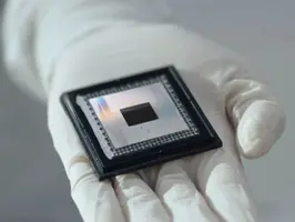 Exotic phase of matter realized on a quantum processor