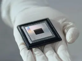 Exotic phase of matter realized on a quantum processor