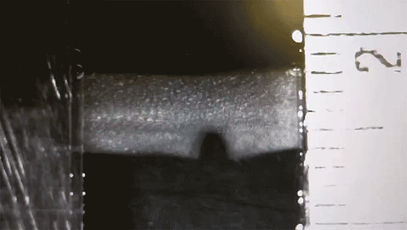 A notched nanofibrous hydrogel subjected to cyclic loading emphasizing how fatigue resistant the material is. Even with an existing tear it is able to withstand repeated stretches and strains without tearing more. @ Courtesy of the researchers