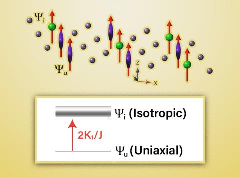 The uniaxial Tb ions have elongated electronic orbitals (shaped like ellipsoids) and the Tb moment points along the ellipsoid due to spin-orbit coupling. The isotropic Tb ions have spherically shaped orbitals, so spin-orbit coupling gives no preference for the moment direction. The image shows that Tb atoms are either ellipsoidal (purple) or spherical (green) at intermediate temperatures (on some time scale). The number of spherical Tb ions determines when the transition occurs. @ Ames National Laboratory