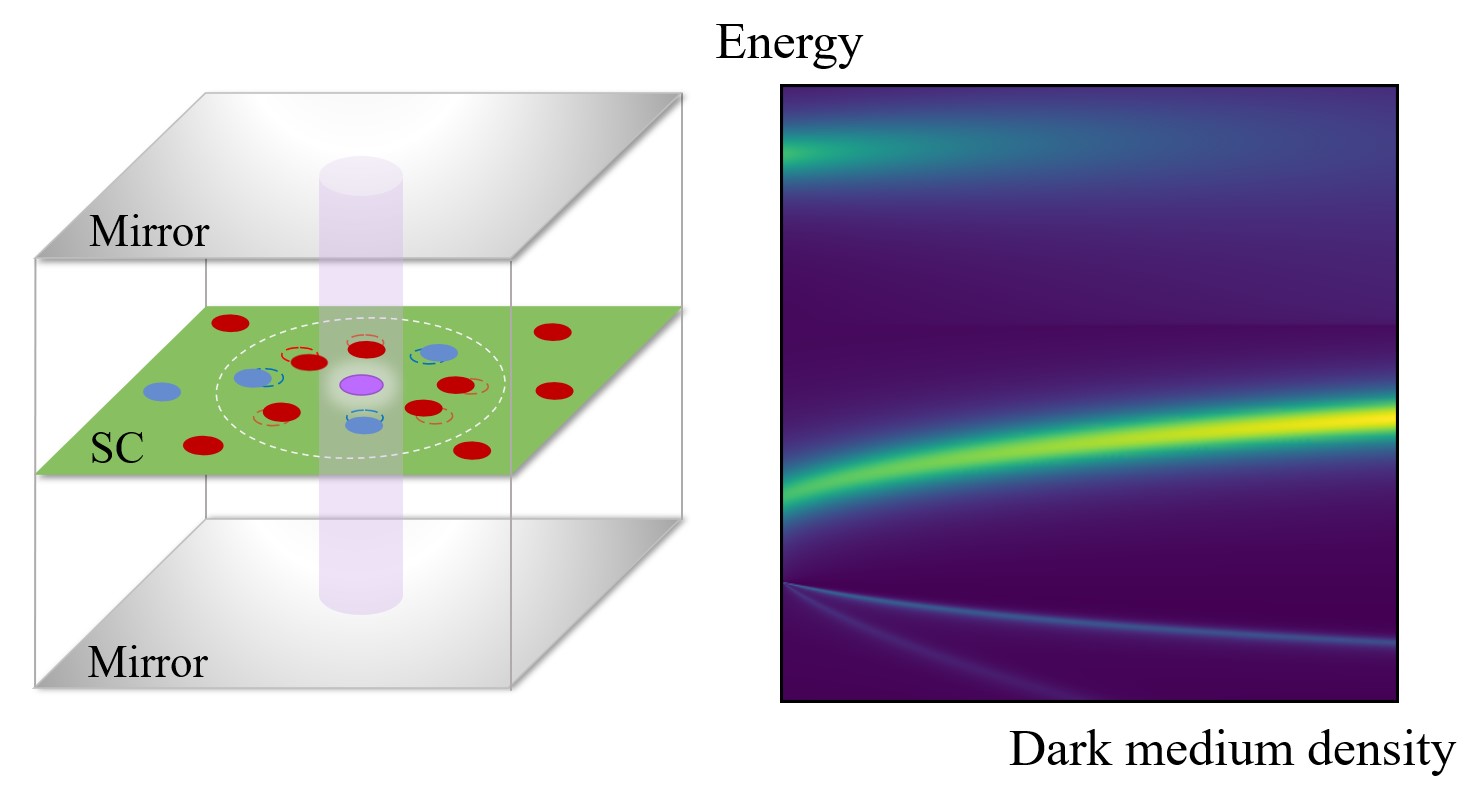 Left: The device comprises a 2D semiconductor between two mirrors, the polariton in purple, and the dark excitons in red or blue depending on spin. The effect of dark excitons can be encapsulated in the polaron, the white dashed circle. Right: The resulting transmission spectrum. @ FLEET