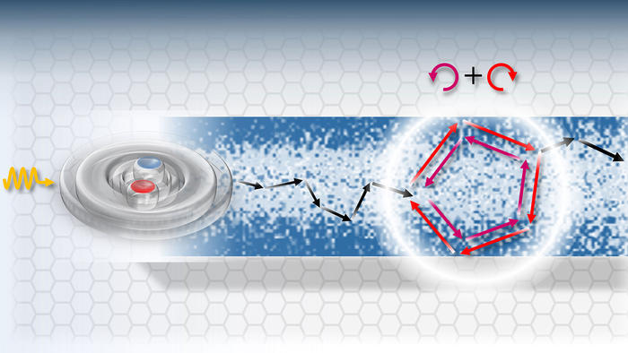 The figure shows a schematic illustration of an exciton excited by a light pulse and moving along an atomically-thin layer. The exciton scatters and randomly changes its direction. In addition, a quantum mechanical interference effect can occur with the exciton propagating through a close loop in both directions at the same time. @ Alexey Chernikov