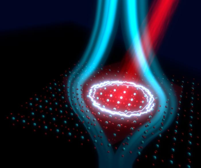 Mid-infrared laser pulses coherently drive atomic modes in YBa2Cu3O6.48 and stabilize superconducting fluctuations at high temperature. This quantum coherence leads to the ultrafast expulsion of a static magnetic field. @ S. Fava / J. Harms, MPSD