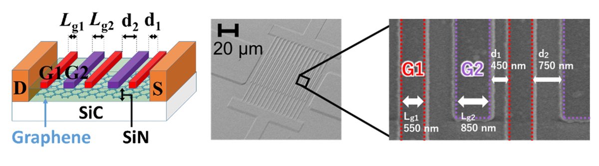 A bird's-eye view of the device structure and electron micrographs of the device surface. G1: gate 1 electrode, G2: gate 2 electrode, D: drain electrode, and S: source electrode. @ Koichi Tamura et al.