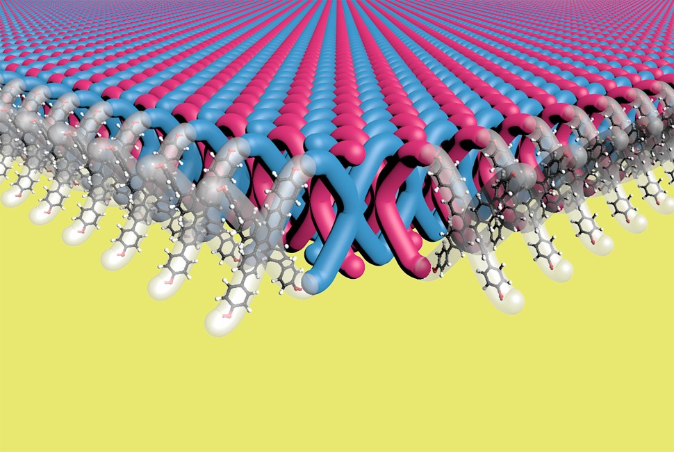 With 100 trillion mechanical bonds per 1 square centimeter, the new material contains highest density of mechanical bonds ever achieved. @ Mark Seniw, Center for Regenerative Nanomedicine