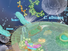 Scientists develop dual-functional high-efficiency antimicrobial nanozyme