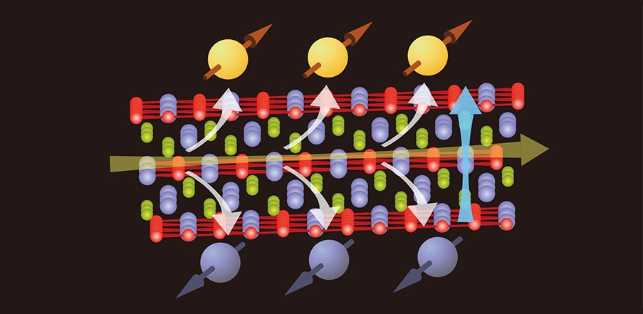 A schematic image of conversion phenomenon from charge current to spin current based on spin Hall effect in Co3Sn2S2 layer. @ Takeshi Seki et al.