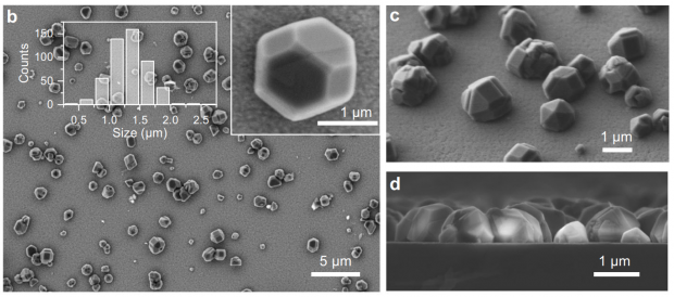Electron microscopy images of a diamond-based PUF-label, individual diamond microparticles and their spread on the silicon substrate are clearly visible: top-view (b), side-view. (c) cross-section (d).
