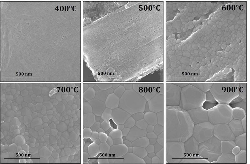 Electron micrographs show neptunium dioxide grain size increases with increasing temperature. Processing the material at higher temperature increases its grain size and reduces its movement into the environment. @ Reproduced from Peruski, K. and Powell, B. A., Effect of calcination temperature on neptunium dioxide microstructure and dissolution, RSC Environmental Science: Nano, 7: 3869-3876 (2020), with permission from the Royal Society of Chemistry