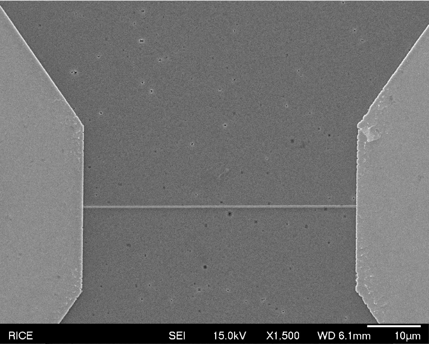 Scanning electron microscope image of a long YbRh2Si2 wire. @ Liyang Chen/Natelson research group/Rice University