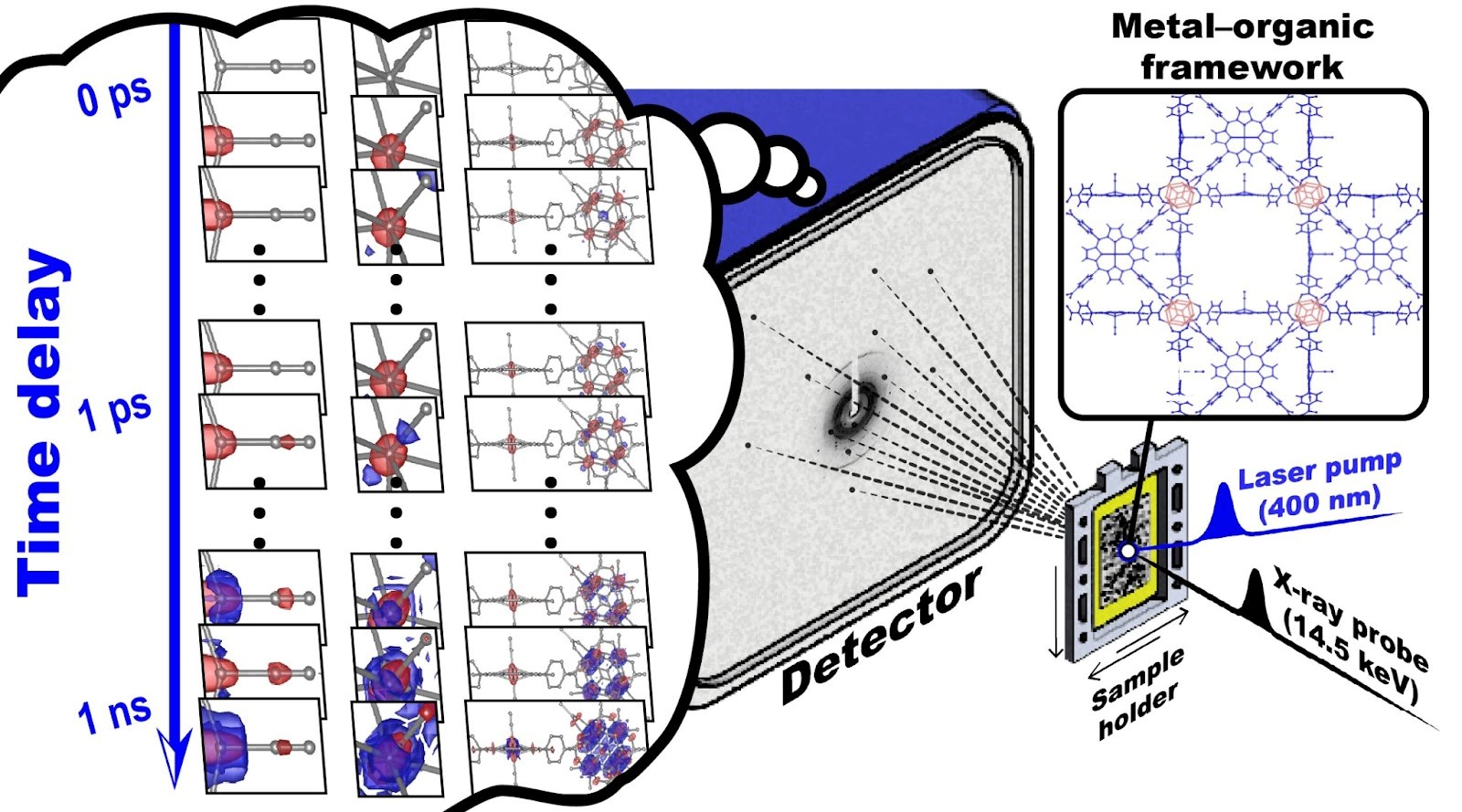 Scheme of a time-resolved serial femtosecond crystallography (TR-SFX) experiment on porous coordination network–224(Fe), PCN–224(Fe). The crystals of PCN–224(Fe) are exposed to an intense femtosecond UV laser pulse to trigger a reaction. Ultrafast structural changes of iron porphyrin and zirconium clusters in PCN–224(Fe) were directly visualized using X-ray pulses from the X-ray free-electron laser facility with femtosecond (10−15 second) and angstrom (10−10 meter) spatio-temporal resolution. By measuring the X-ray diffraction patterns produced by the X-ray pulses over time, the molecular structure of PCN–224(Fe) after the reaction was observed. @ Institute for Basic Science