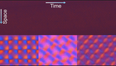 1+1Dimensional and 2+1Dimensional Discrete Space-Time Crystals.