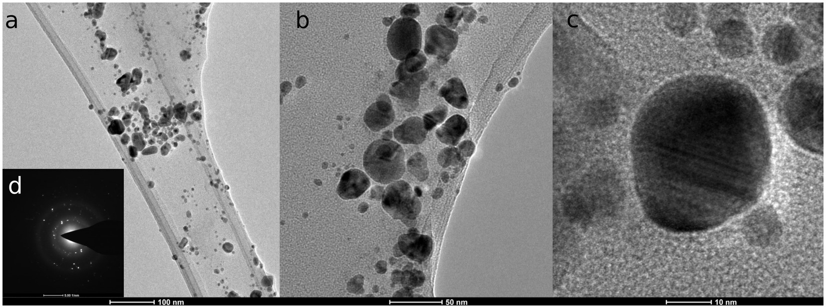 TEM micrographs of silver nanoparticles from F. culmorum strain JTW1 (A–C) and SAED. @ Nicolaus Copernicus University in Toruń