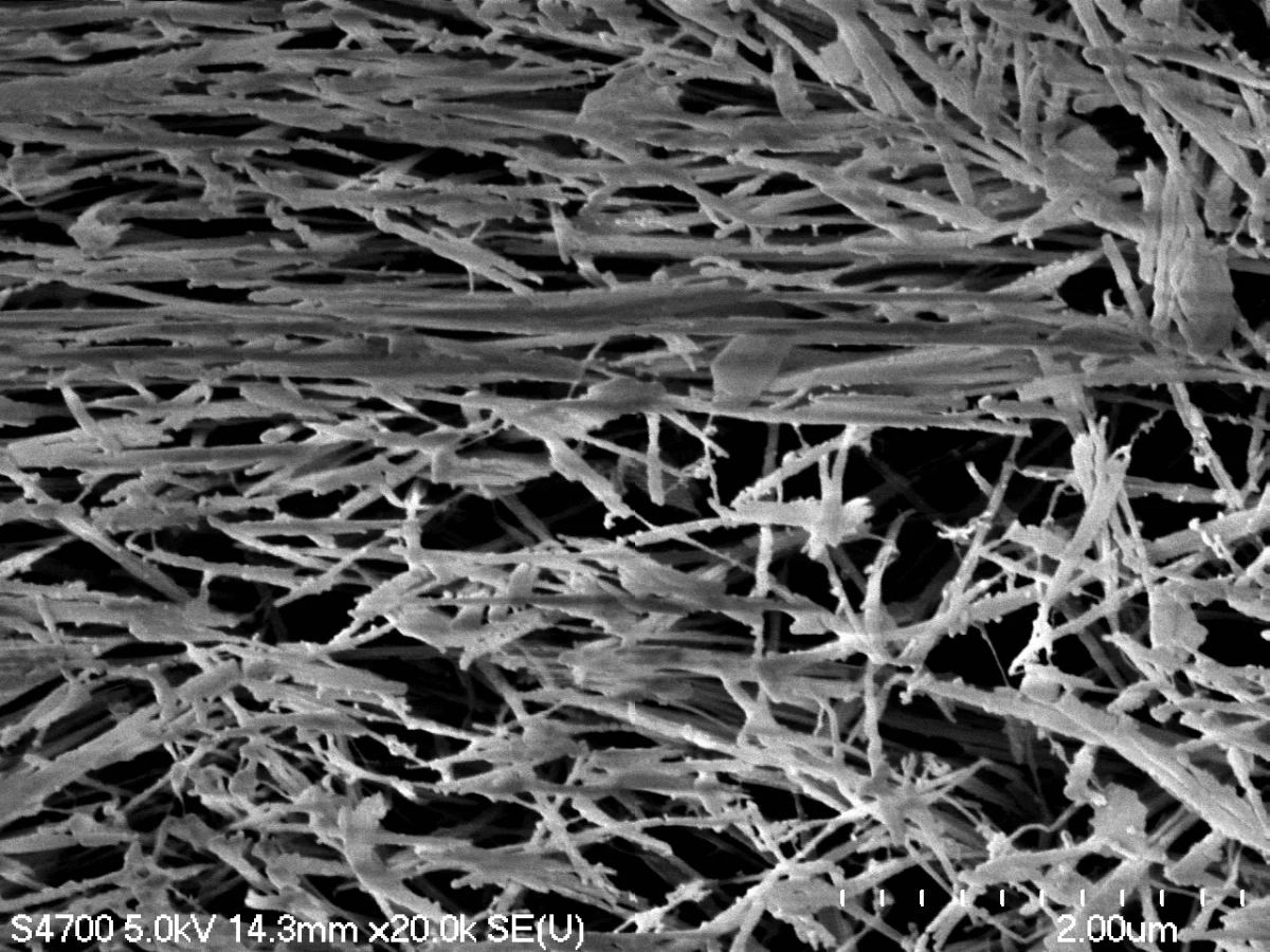 Alignment of nanomaterials in the direction of 3D printing shown using electron microscopy after plasma etching of the polymer. @ Masoud Kasraie