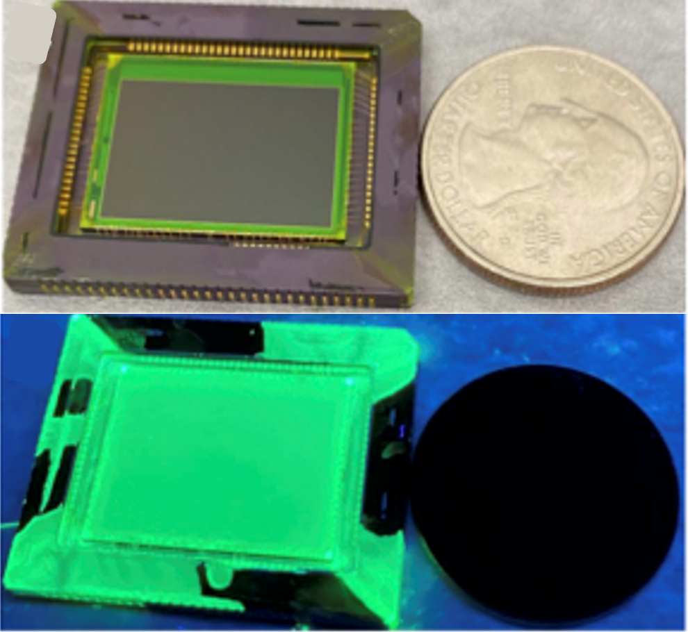 UV imaging sensor compared to a US quarter under white light (top) and under UV light (bottom), green appearance attributed to PNC layer fluorescence. @ University of Illinois Urbana-Champaign