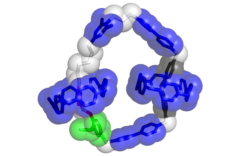 Molecular structure of new electric motor. @ Northwestern University