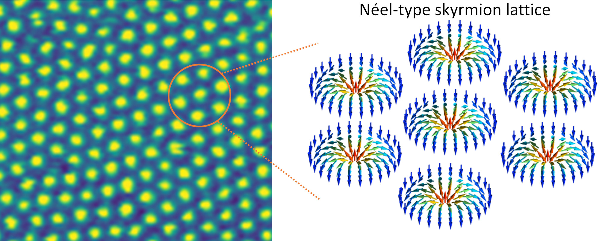 A map produced by magnetic microscopy techniques shows vortex-like spin patterns called skyrmions appearing in a thin, layered 2D material. Berkeley Lab researchers say the material could advance smaller, faster, energy-efficient electronics such as low-power memory devices. @ Berkeley Lab