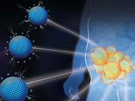 Positively charged nanomaterials treat obesity anywhere you want