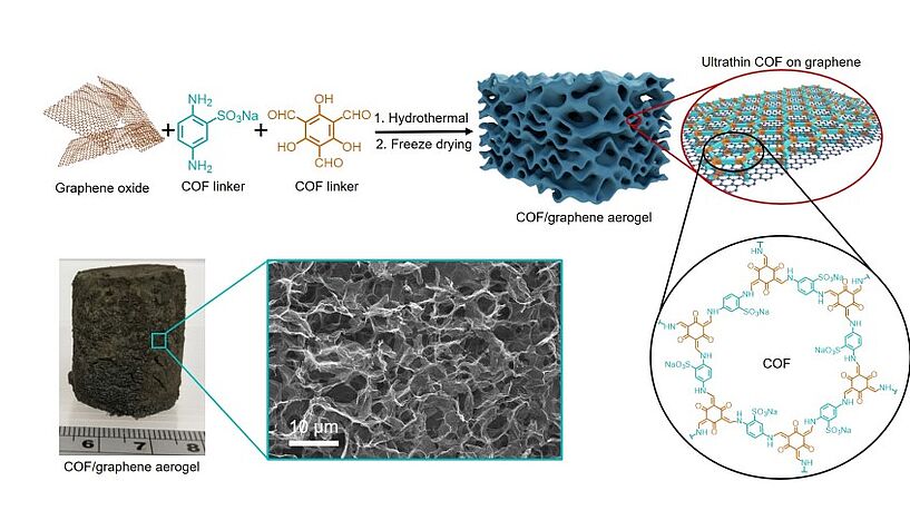(a) The synthesis procedure for ultrathin COF/graphene aerogel. An ultrathin COF containing sulfonate ions with a thickness of 2 nm anchored on graphene. (b) Photograph and SEM image of ultrathin COF/graphene aerogel. The aerogel with an ultralow density of 7.1 mg cm-3 showing macroporous channels. @ Changxia Li, Freddy Kleitz et al.