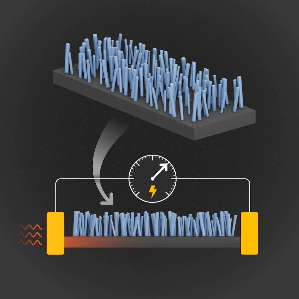 Illustration of nanopillars used in a new design to efficiently convert heat energy into electricity. @ S. Kelley/NIST