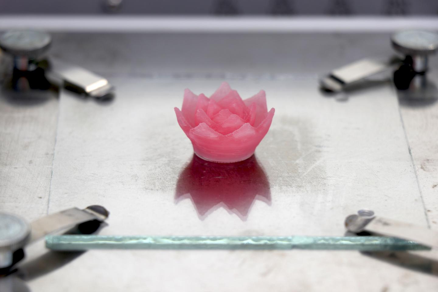 To demonstrate that fine aerogel structures can be produced in 3D printing, the researchers printed a lotus flower made of aerogel. @ EMPA