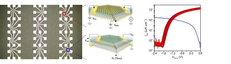 Ultra-miniaturized transistors and integrated circuits using 1D mirror twin boundary gates This figure shows an optical microscope image of the integrated circuit based on 1D mirror twin boundary gates (left), a schematic of the ultra-miniaturized transistor and inverter devices that constitute the circuit (center), and the performance evaluation of these devices (right). The 1D mirror twin boundary process developed by the research team was not limited to the miniaturization of individual devices but was successfully used to construct large-area, highly integrated electronic circuits. @ Institute for Basic Science