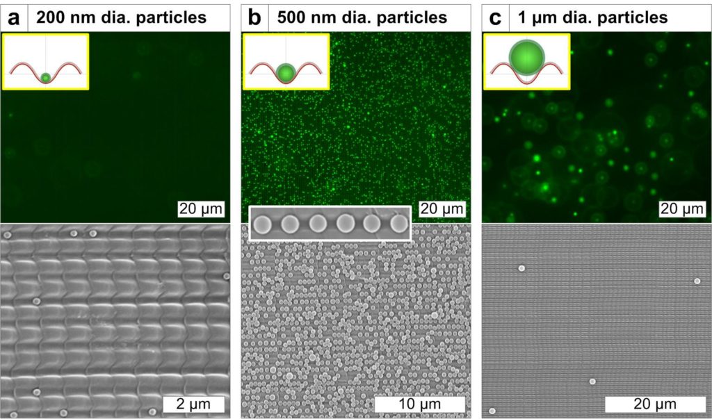 Figure 2. Fluorescent microscope images (top row) and SEM images (bottom row) of the particles trapped to the Al2O3-coated nanovoid structures, with the diameters of 200 nm (a), 500 nm (b), and 1 μm (c). The upper-left insets show the schemes of each case. The middle inset to panel b shows the enlarged SEM image disclosing the 500 nm diameter particles trapped in nanovoids in an orderly fashion. @ University of Michigan
