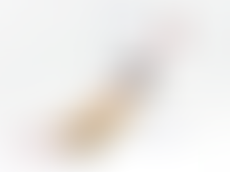 The novel ptychography setup uses a high-precision adjustable mirror to move the X-ray beam carefully across a static sample. 