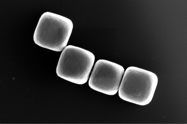 Four cubic colloids made from glass. @ TU Delft