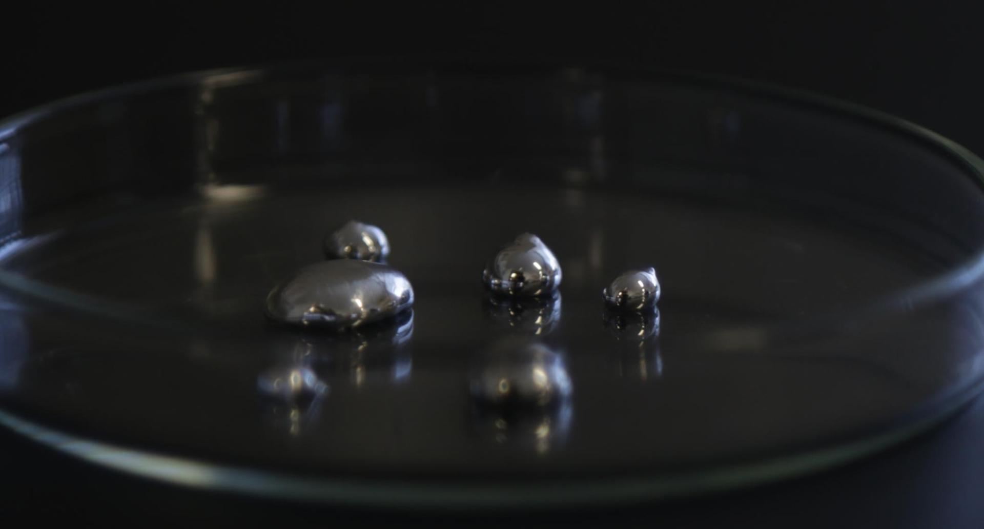Liquid gallium in a petri dish at the University of Sydney’s School of Chemical and Biomolecular Engineering. @ University of Sydney, Philip Ritchie