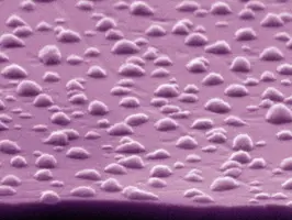 Towards transparent and antimicrobial surfaces for touch displays