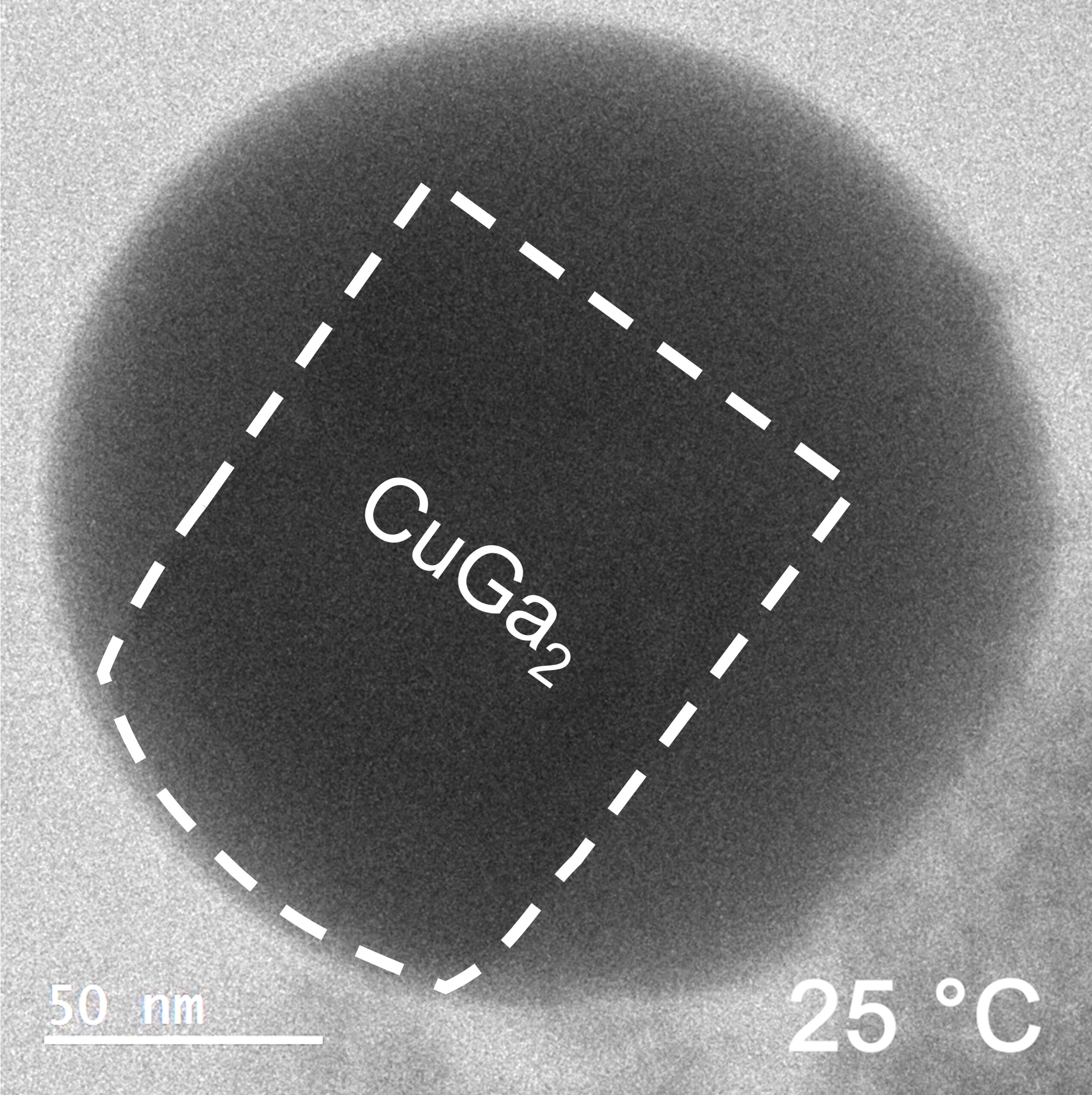 A nugget of gallium-copper alloy precipitates and grows in a sea of liquid gallium. @ FLEET