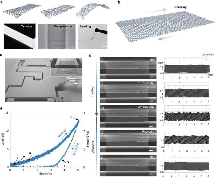 Instability of suspended single-layer graphene. Scale: a 1 μm, 500 nm, 200 nm, and d 1 μm. @ University of Hong Kong