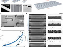 HKU Engineering researchers develop new method for achieving controllable tuning and assessing instability in 2D materials for engineering applications