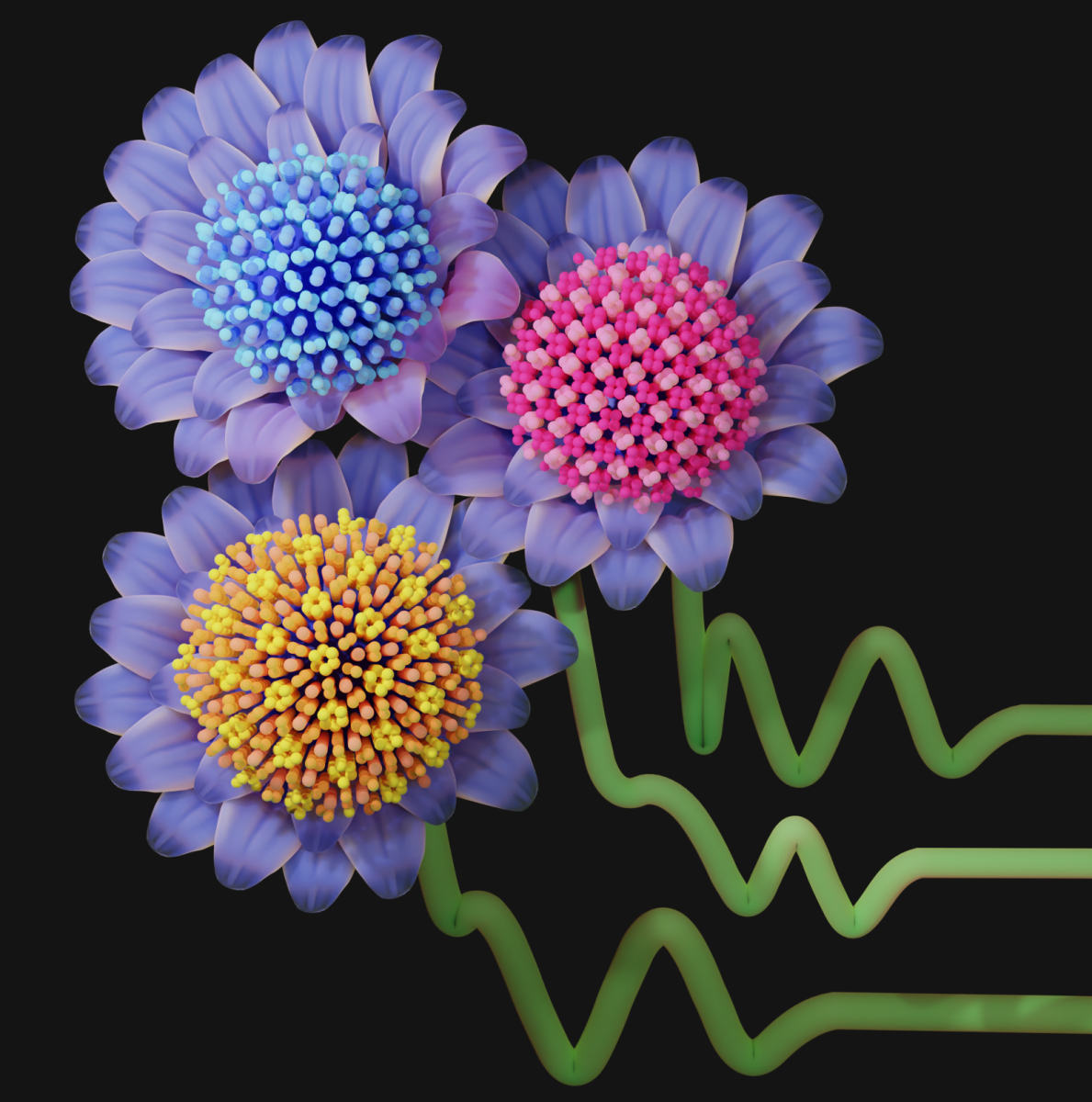 Conceptual image showcasing several interaction potential shapes, represented by stems, that will lead to the self-assembly of new low-coordinated crystal structures, represented by flowers. @ Hillary Pan