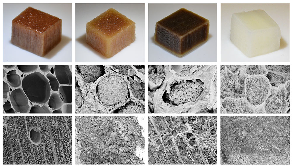 On the far left, natural wood is seen. The three pieces of wood on the right have undergone different types of treatment that give a higher surface area and smaller pores, which provide rapid water transport through the material. @ Jonas Garemark