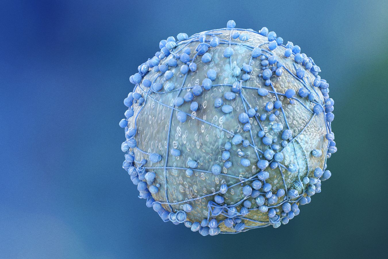 A pancreatic cancer cell, protected by its ropelike barrier. @ iStock.com/luismolina