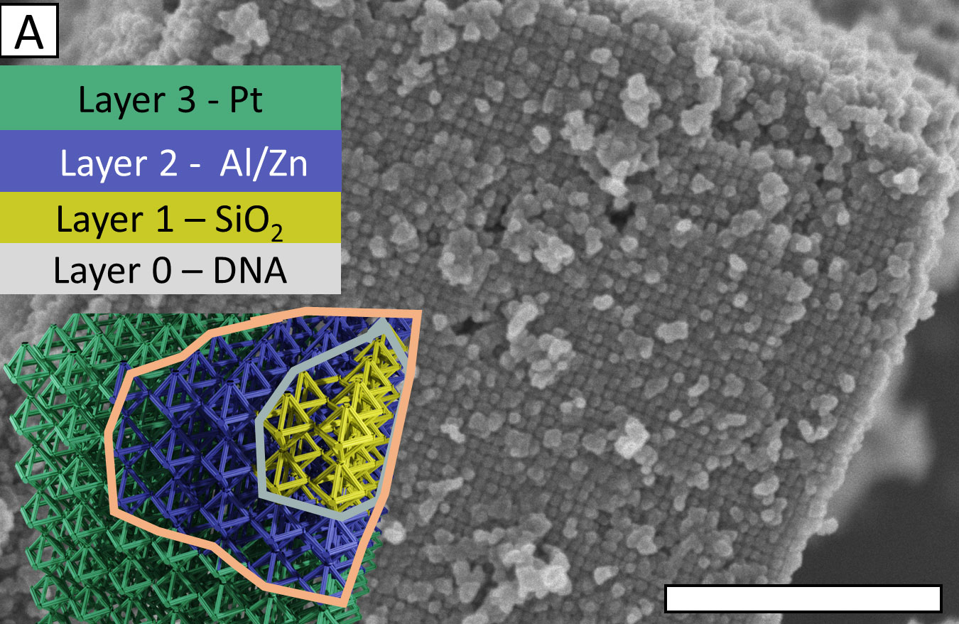 Scientists used a new, universal method to create a variety of 3D metallic and semiconductor nanostructures, including this structure revealed by an electron microscope. The scale bar represents one micrometer. The superimposed graphics convey that the researchers combined multiple techniques to layer silicon dioxide, then alumina-doped zinc oxide, and finally platinum on top of a DNA "scaffolding." This complex structure represents new possibilities for advanced manufacturing at small scales. @ Brookhaven National Laboratory