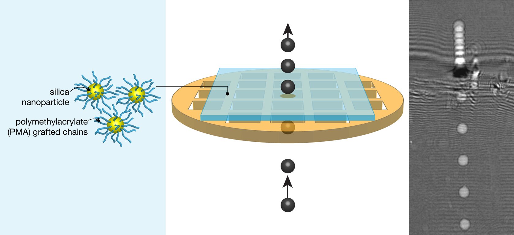 Researchers at NIST examined the toughness of films composed of silica nanoparticles coated in polymer chains using Laser-Induced Projectile Impact Testing, or LIPIT. With LIPIT, they propelled tiny projectiles toward the films and used a camera and strobe light to capture their position every 100 nanoseconds. The amount that the projectiles slowed down after piercing the films revealed the material's toughness. @ NIST