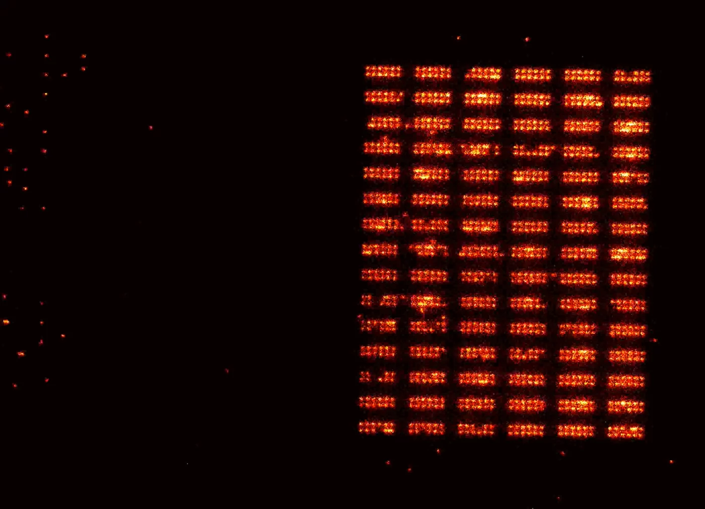 Quantum register based on neutral atoms moved from a loading zone (left) to the storage zone (right). By regularly replenishing the loading zone, the storage array can be built up and then operated continuously. @ Max Planck Institute of Quantum Optics (MPQ)