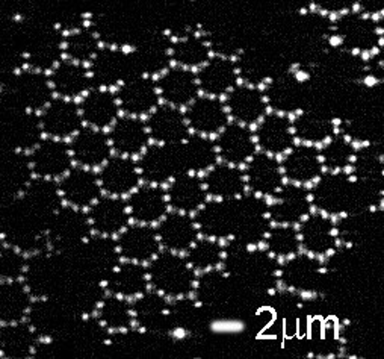 Pieces of a graphene lattice made from patchy particles. Because the particles can be followed one-by-one, defects can be studied at the particle scale. @ Swinkels et al.
