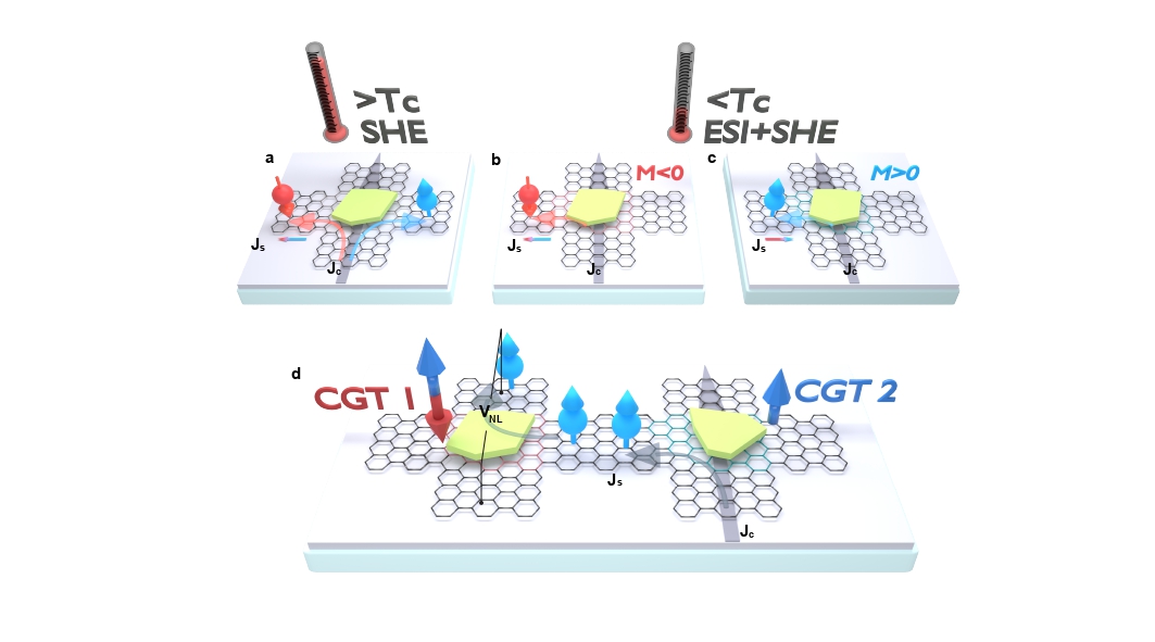 A seamless graphene spin valve based on proximity to van der Waals magnet Cr2Ge2Te6. @ CIC nanoGUNE