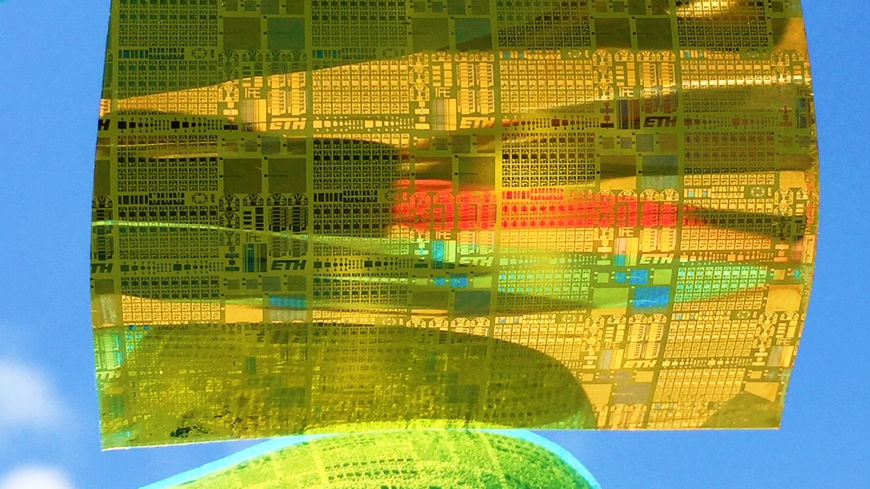 Flexible: Electronic circuits on a film of polyimide from the Empa laboratory form synaptic transistors. @ Empa