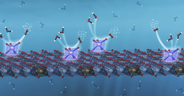 An illustration depicts a new system developed at SLAC and Stanford that anchors individual iridium atoms to the surface of a catalyst, increasing its efficiency at splitting water to record levels. The eight-sided support structures, shaded in blue, each contain a single iridium atom (large blue spheres). The iridium atoms grab passing water molecules (floating above and to the left of them), and encourage them to react with each other, releasing oxygen molecules (above and to the right). This reaction, known as the oxygen evolution reaction or OER, plays a key role in producing sustainable fuels and chemicals. @ Greg Stewart/SLAC National Accelerator Laboratory