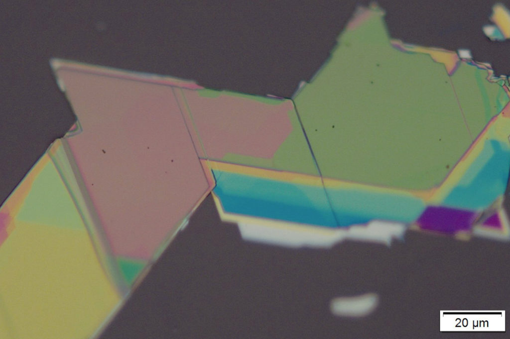 The different colors in this sample of iron phosphorous trisulfide (FePS3) correspond to regions with varying thicknesses, which form different “cavity” modes at different wavelengths. @ Penn Engineering