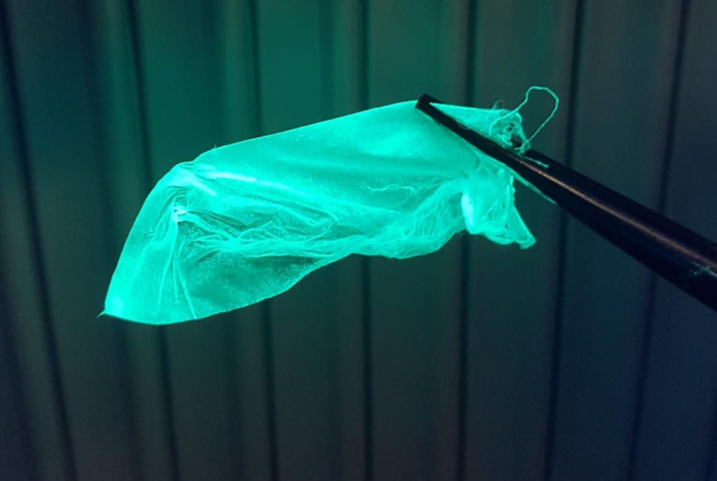 The fluorescent nanosensors respond to changes in pH, making them ideal for use as sensors to track healing. @ RMIT University